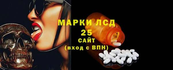 ECSTASY Горняк