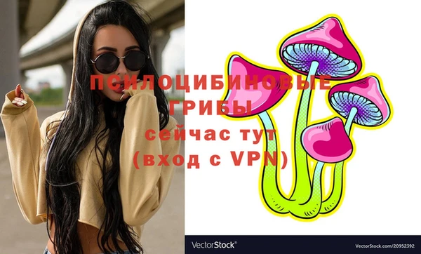прущая мука Михайлов