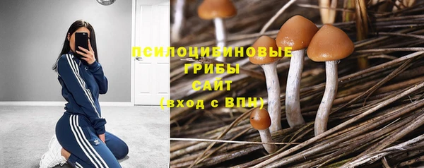 крисы Анжеро-Судженск